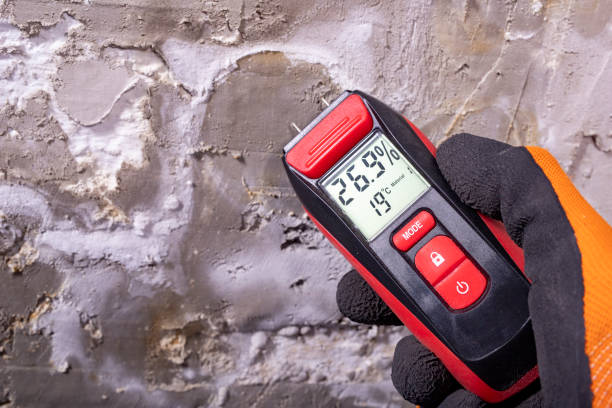 Best Attic Mold Remediation in Teviston, CA