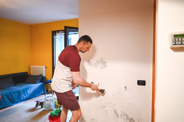 Best Black Mold Remediation in Teviston, CA