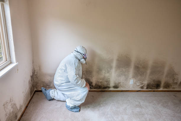Best Bathroom Mold Remediation in Teviston, CA